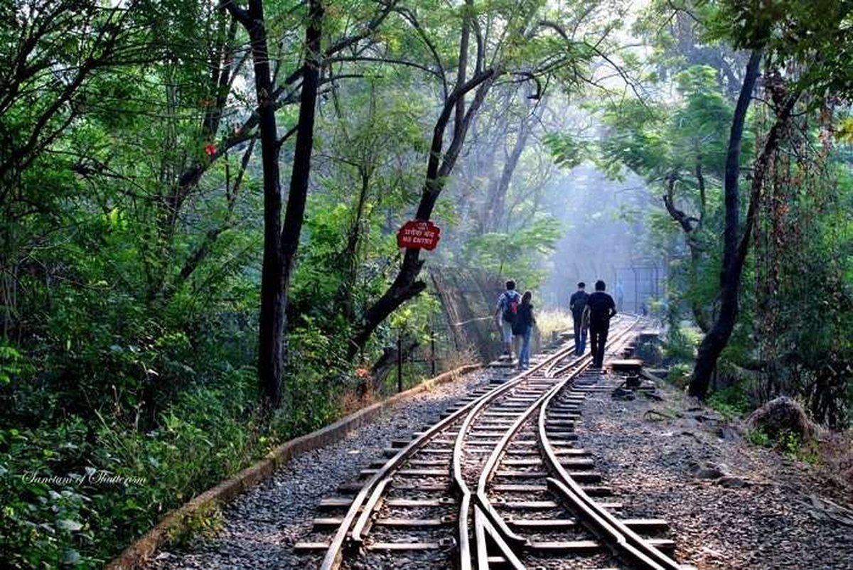 tempat-wisata-alam-di-mumbai-taman-nasional-sanjay-gandhi-pantai-pantai-cantik