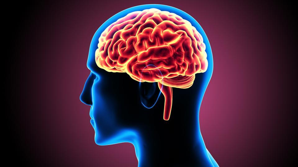 7 Tips Hidup Sehat untuk Melindungi Pembuluh Darah Otak